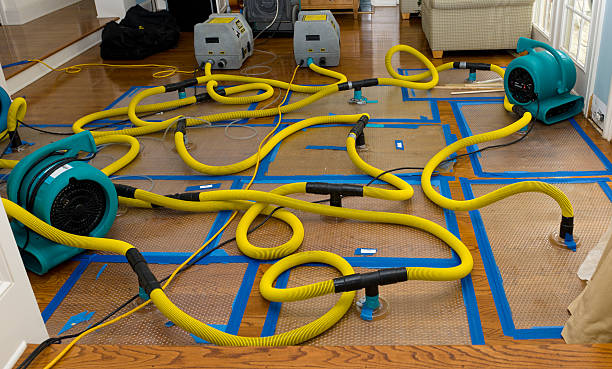 Professional Crawl Space Water Removal technician working in Port Chester, NY